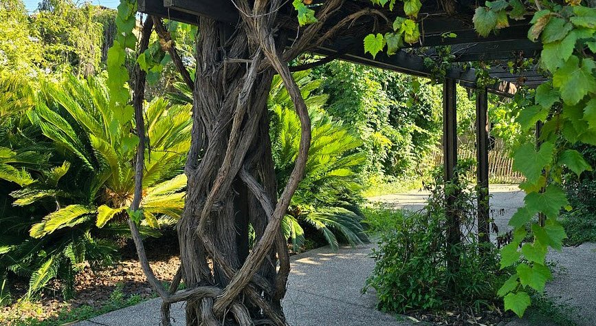 Jardin botanique de la Ville de Marseille, Marseille, France, France
